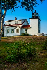 Birch Tree by Fort Point Lighthouse